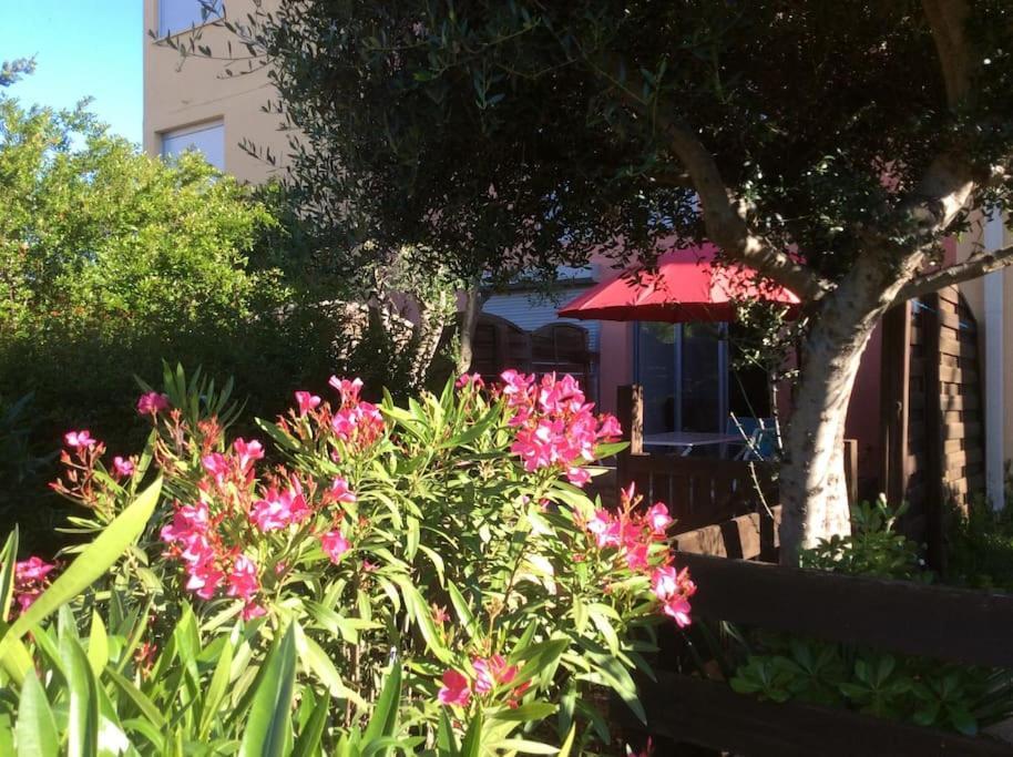 Cap Agde Studio-Cabine Jardin Clos, Port Et Plage Dış mekan fotoğraf